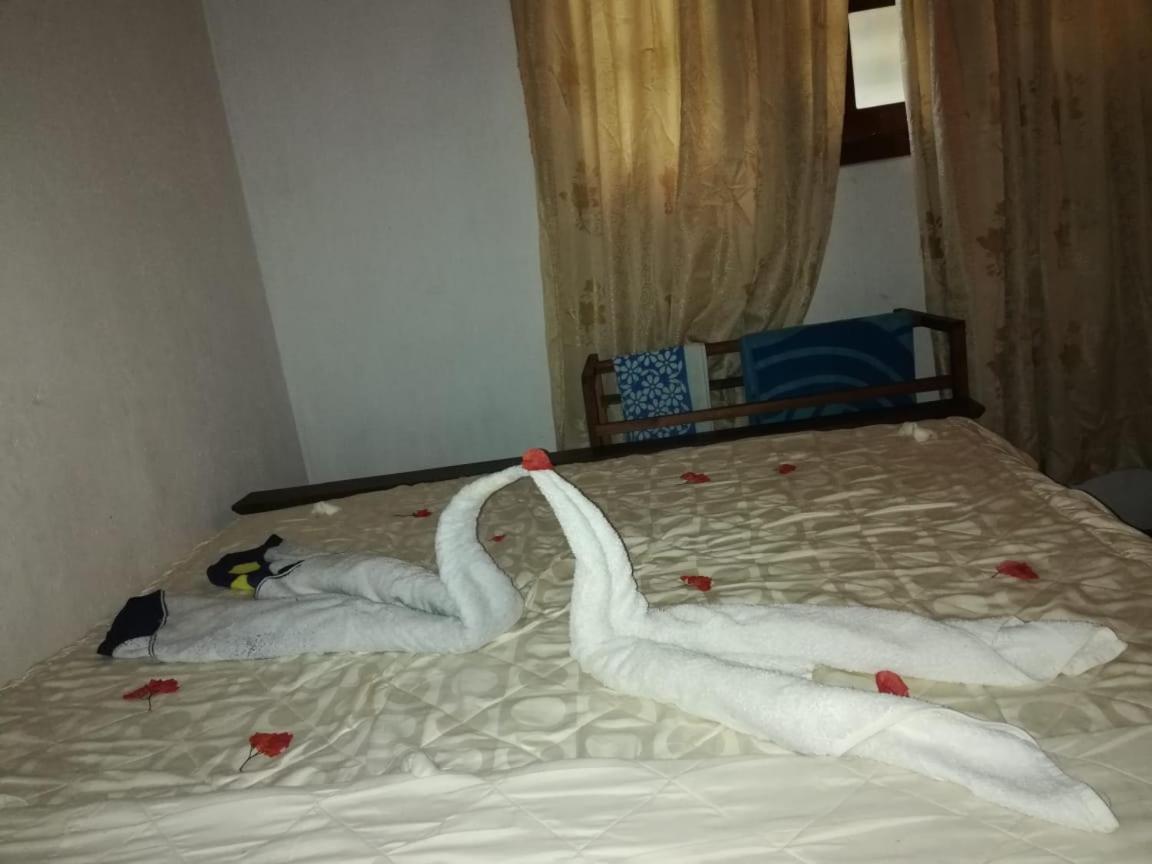 Triple One Villa آهانغاما المظهر الخارجي الصورة